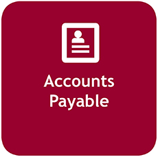 s-accounts payable